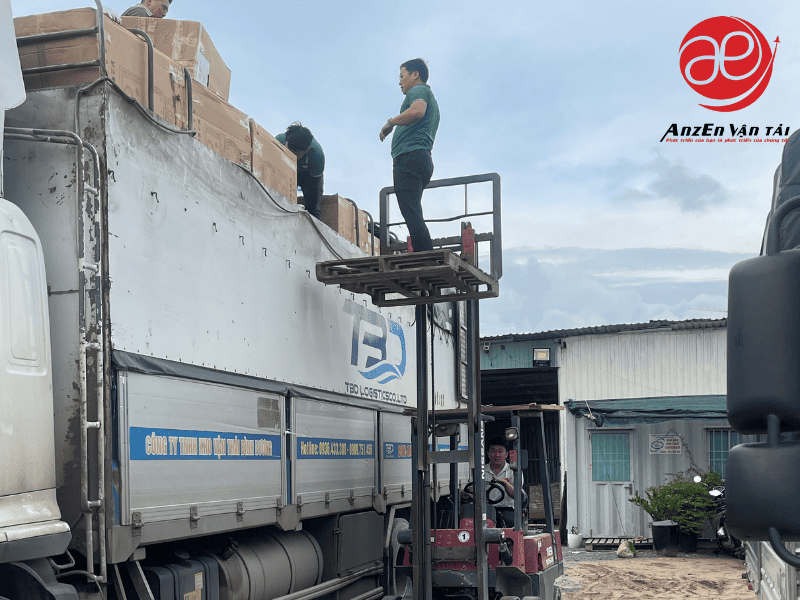 Hệ thống AnzEn phương tiện hiện đại, kho bãi quy mô lớn